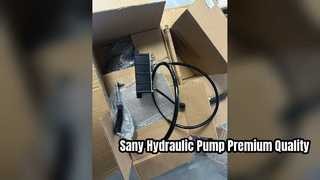 Sany hydraulische Lüftermotorpumpe 60248398, hochwertige Teile