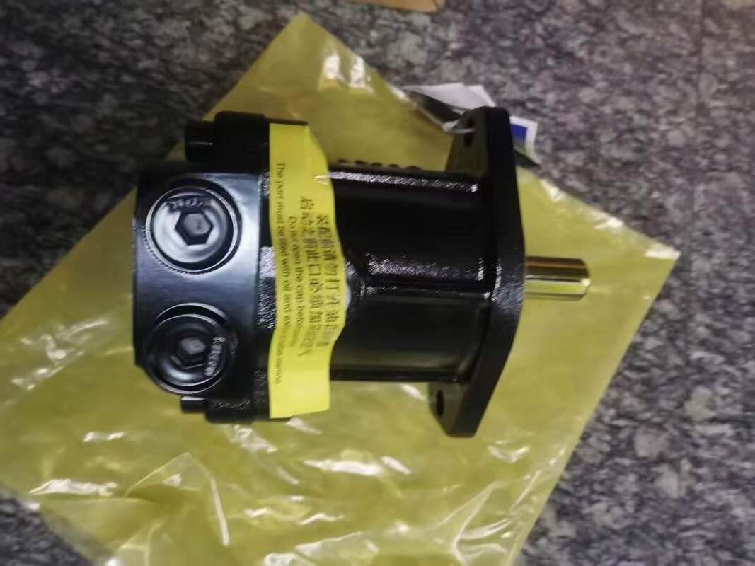Neuer Zustand Sany Hydrauliklüftermotorpumpe 60248398 14531612 Zahnradpumpen SY650 SY700 SY750 SY500 SY460 SY485 SY550 SY375